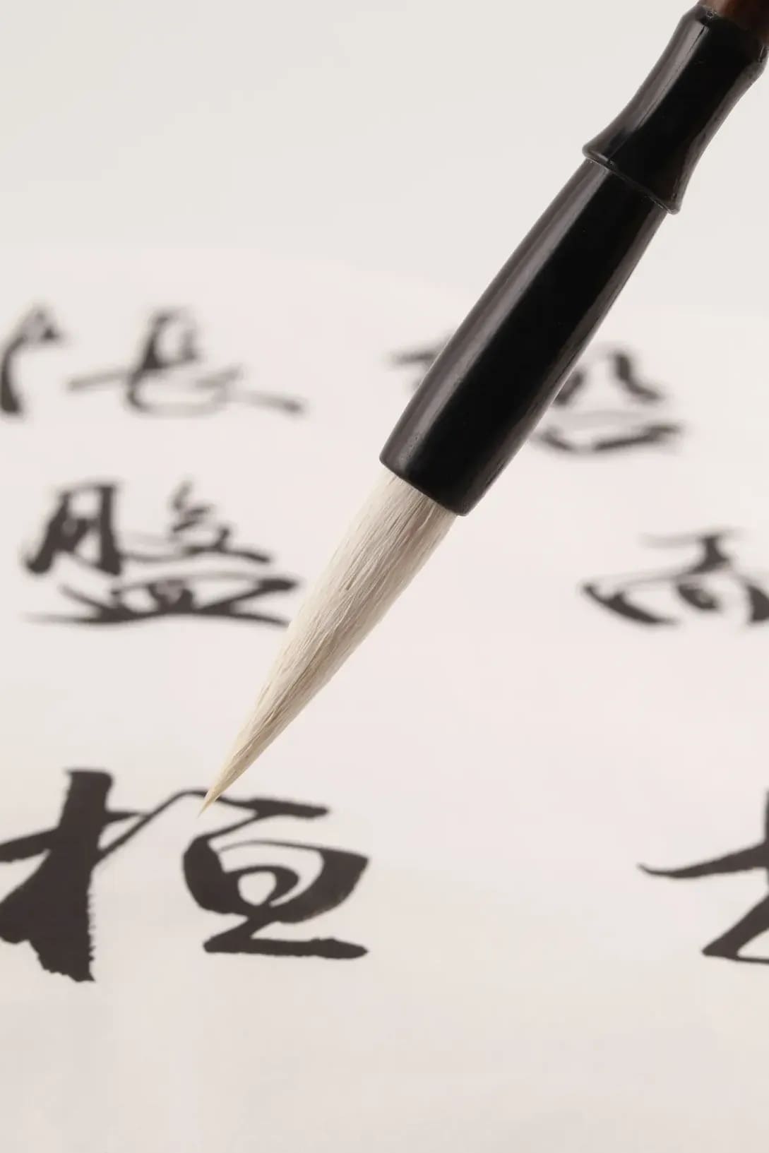墨心堂 10